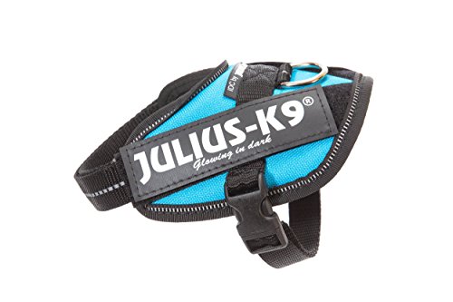 JULIUS-K9 16IDC Power Harness