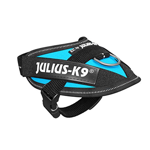 JULIUS-K9 16IDC Power Harness