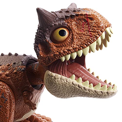 Jurassic World Bebé Carnotaurus mordedor Dinosaurio articulado con movimientos y sonidos, figura de juguete para niños (Mattel HBY85)