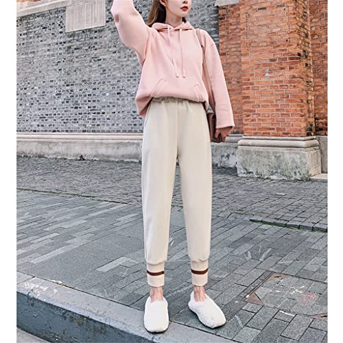 LSDJGDDE Pantalones de primavera otoño e invierno de lana de terciopelo de otoño grueso rábano haz pies harén pantalones pequeños pies (color: avena, tamaño: código L)