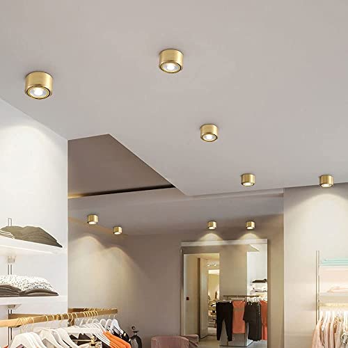 LUOFDCLDDD Downlight Spotlight Spotlight Spotlight Foco Iluminado, 45 Accesorio de Iluminación de Acento Ajustable, Galería de Pasillo Corredor Galería de Cocina Sala de Estar de Latón Spotlight Ligh