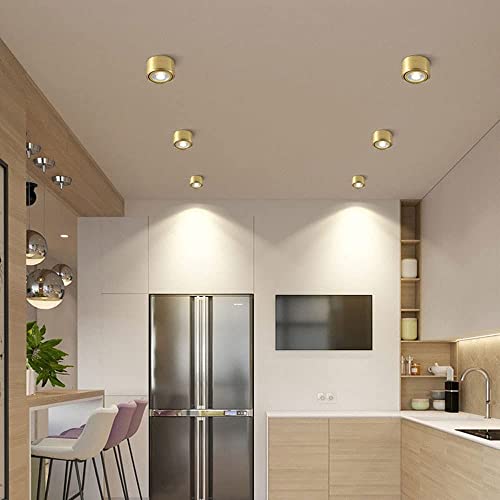 LUOFDCLDDD Downlight Spotlight Spotlight Spotlight Foco Iluminado, 45 Accesorio de Iluminación de Acento Ajustable, Galería de Pasillo Corredor Galería de Cocina Sala de Estar de Latón Spotlight Ligh