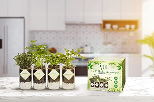 OG Kit Huerto Urbano - Kit Completo de 4 Plantas aromaticas (Tomillo, Cilantro, Albahaca y Perejil), 100% Semillas Bio, NO GMO y Origen EU. Todo Incluido para Cultivar Fácilmente Tus Hierbas Frescas