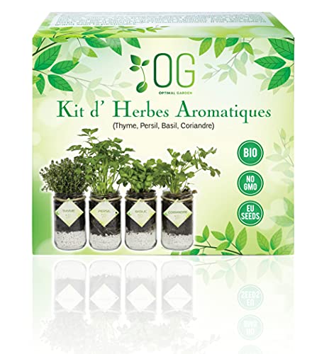 OG Kit Huerto Urbano - Kit Completo de 4 Plantas aromaticas (Tomillo, Cilantro, Albahaca y Perejil), 100% Semillas Bio, NO GMO y Origen EU. Todo Incluido para Cultivar Fácilmente Tus Hierbas Frescas