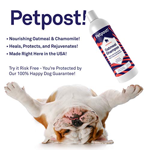 Petpost | Champú De Avena Y Manzanilla para Perros con Piel Seca: Cura, Protege Y Rejuvenece De Forma Natural La Piel Y El Pelaje De Los Perros: Fórmula De Avena, Manzanilla, Aloe Y Yuca (237 ml)