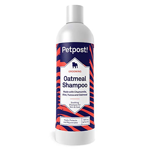 Petpost | Champú De Avena Y Manzanilla para Perros con Piel Seca: Cura, Protege Y Rejuvenece De Forma Natural La Piel Y El Pelaje De Los Perros: Fórmula De Avena, Manzanilla, Aloe Y Yuca (237 ml)