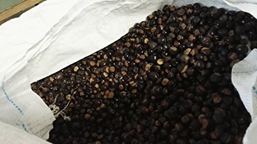 Polvo de Semillas de Guaraná Brasilero, Pura Energía Natural 500G