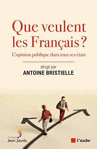 Que veulent les Français ?: L’opinion publique dans tous ses états (French Edition)