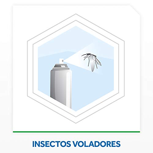 Raid - Moscas y Mosquitos, Spray Insecticida Aroma Frescor Natural, 600ml (Pack de 3)