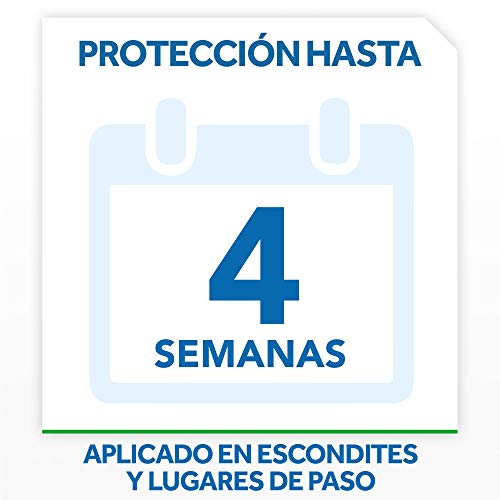 Raid ® Spray Insecticida - Aerosol para cucarachas y hormigas. Protege durante 4 semanas. Acción fulminante, en apenas segundos. Unidad, 400ml