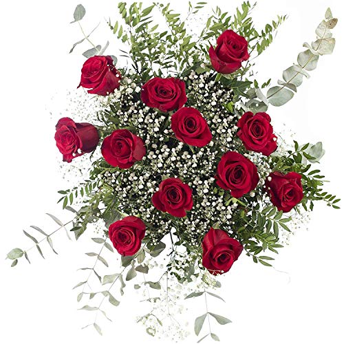 Ramo 12 Rosas Rojas | ENTREGA GRATIS 24 HORAS | Flores Naturales a Domicilio Blossom® | Ramo de Rosas Naturales a Domicilio Frescas y Recién Cortadas