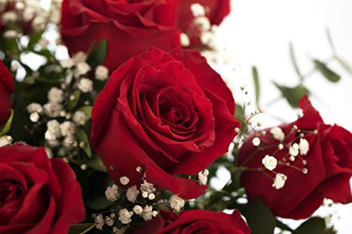 Ramo 12 Rosas Rojas | ENTREGA GRATIS 24 HORAS | Flores Naturales a Domicilio Blossom® | Ramo de Rosas Naturales a Domicilio Frescas y Recién Cortadas