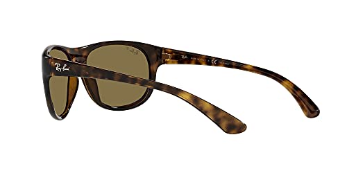 Ray-Ban 0rb4351-710/73-59, Gafas Hombre, Havana