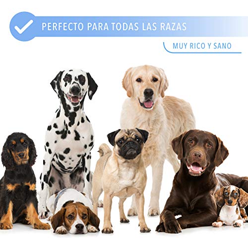 Rc Ocio Chuches para Perros sin Cereales de Pollo y Bacalao 3 Bolsas de premios Snacks Naturales sin conservantes ni colorantes golosinas Snack Premium para Perro Grandes, pequeños, y Cachorros