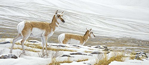 Robert Bateman's Canada