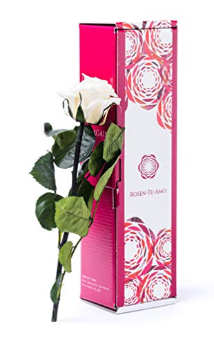 Rosen-Te-Amo | rosa eterna blanca | tallo 27 cm | tarjeta felicitación descargable | caja regalo con design refinado || Flores preservadas: regalos originales mujer o decoracion hogar