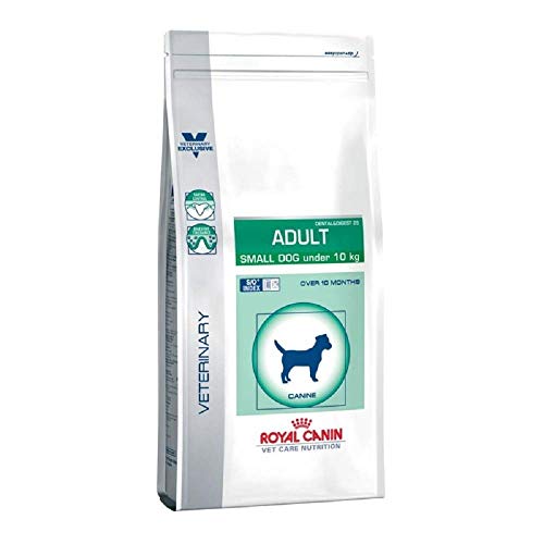 RoyalCanin Adult Small Dog 4 kg Especial Razas Minis y Pequeñas | Pienso Gastrointestinal para Perros Adultos con Problemas Digestivos y Bucales | Comida Intestinal Seca Que Elimina el Sarro Dental