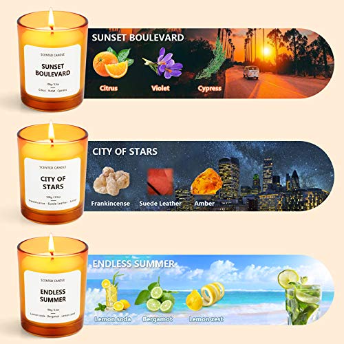 Scent-Hi Velas perfumadas, relajantes velas de aromaterapia, cera de soja natural, para yoga, decoración del hogar, regalo de lujo para mujeres y hombres