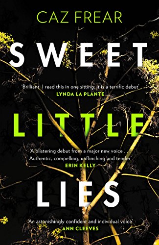 Sweet Little Lies: The Number One Bestseller (English Edition)