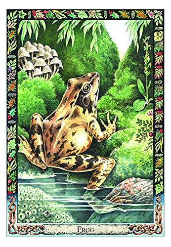 The Druid Animal Oracle Deck