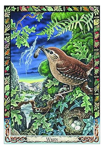 The Druid Animal Oracle Deck