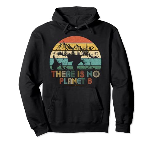 There Is No Planet B Tee Regalo Vintage Mountain Bear Sudadera con Capucha