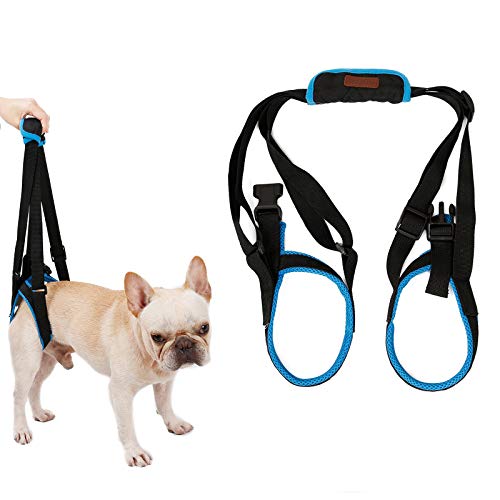 Tineer Dog Lift Arnés para piernas traseras Soporte para Mascotas Arnés Cabestrillo Trasero Ayuda Piernas débiles Levántate Soporte Arnés de Equilibrio para Artritis Rehabilitación Perros (L)