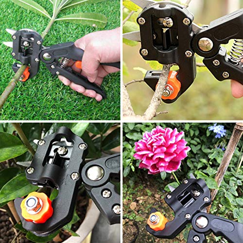 Toolwiz - Juego de Tijera Injertadora Profesional para Podar de Jardín o Árbol Frutal, Herramientas Tijeras de Corte 2 en 1 Tijeras de Corte para Ramas de Vid, Ramas de Árboles Frutal