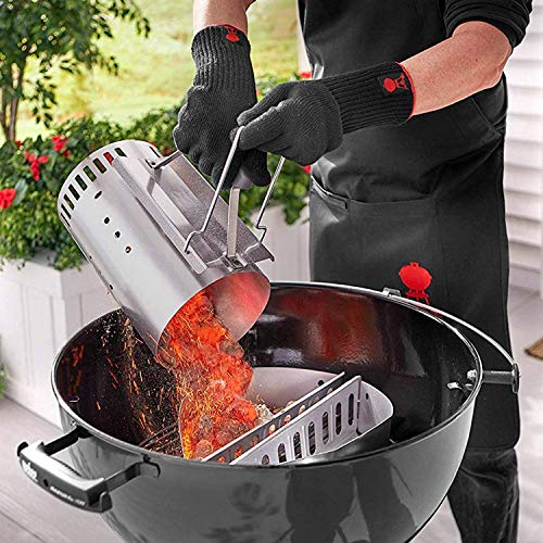 Weber 1759070 - Briquetas 4 kg, Negro