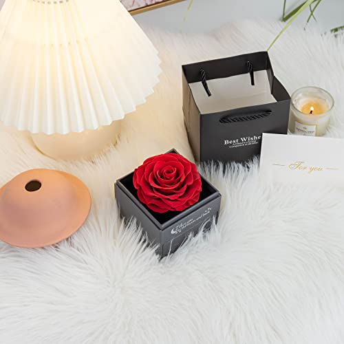 Yamonic Rosa Eterna Real con Collar y Pendientes en una Caja de Regalo, Regalos románticos para Ella en el día de San Valentín Aniversario Navidad Regalos para Mujeres, Tinto