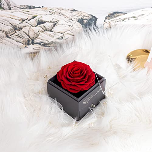 Yamonic Rosa Eterna Real con Collar y Pendientes en una Caja de Regalo, Regalos románticos para Ella en el día de San Valentín Aniversario Navidad Regalos para Mujeres, Tinto