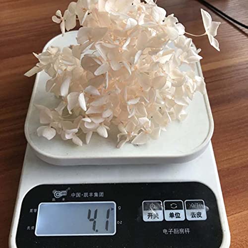 4-4,5 g / Lote de Flores Naturales Frescas preservadas Cabeza de Flor de Hortensia Seca para Bricolaje Material de Flores de la Vida eterna real-14