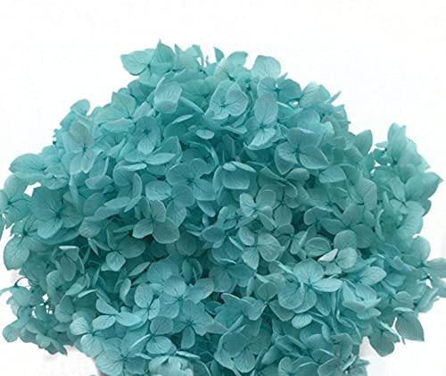 4-4,5 g / Lote de Flores Naturales Frescas preservadas Cabeza de Flor de Hortensia Seca para Bricolaje Material de Flores de la Vida eterna real-14