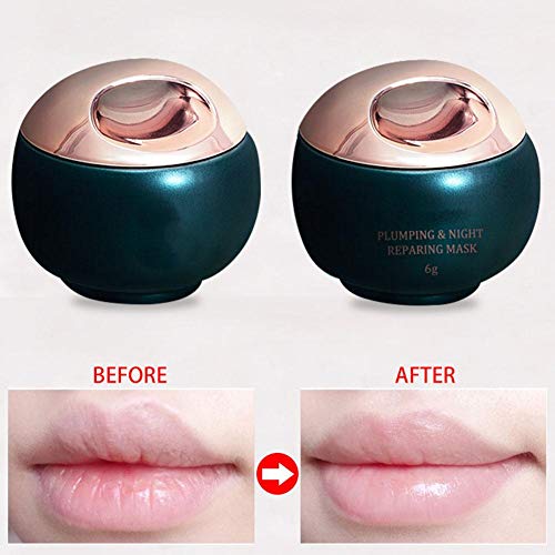 6g Mascarilla para dormir los labios Hidrata y sella profundamente en humedad Hidratante Antiarrugas Bálsamo labial nutritivo Cuidado de los labios Hidratante Nutrición para la reparación del labio