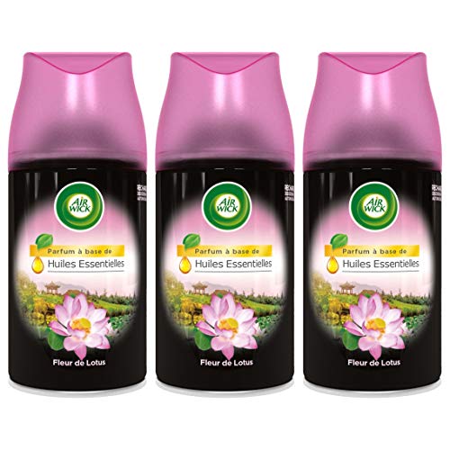 Air Wick - Desodorante para casa (recambio para difusor Freshmatic Max Rare Flor de loto del Sichuan, 250 ml)