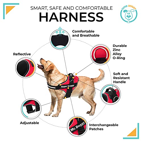 Arnes Personalizado para Perros Reflectante - Incluye 2 Etiquetas con Nombre - Tamaño Pequeño, Mediano y Grande - De Calidad y Resistente (S 6-14KG, Rojo)