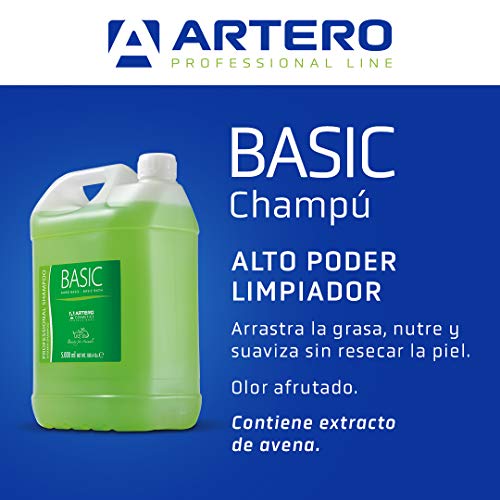 Artero Champú Basic 5 L.