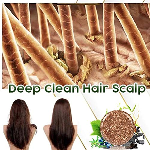 BBABBT Champú 100% Natural Polygonum multiflorum Plant Tinte para Cabello para Cabello seco tratado y dañado, Ayuda a Detener la caída del Cabello y promueve el Crecimiento Saludable del Cabello