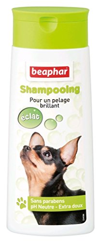 Beaphar – Champú de burbujas brillante para perros – Contiene aceite de macadamia – Reafirma brillo y brillo al pelaje – pH neutro que respeta la epidermis – Sin parabenos – 250 ml