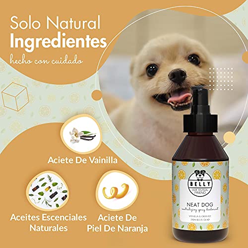 BELLY Colonia para Perros, Vainilla y Naranja - Spray Colonia Perros Cachorros y Adultos - Perfume Perro Fresco e Hidratante - Spray Desodorante Perro, Efecto Duradero - Colonia Mascotas Vegana, 250ml