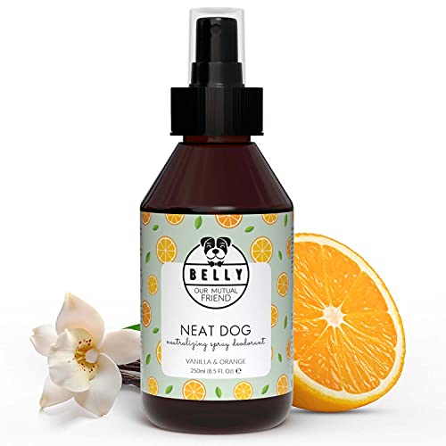 BELLY Colonia para Perros, Vainilla y Naranja - Spray Colonia Perros Cachorros y Adultos - Perfume Perro Fresco e Hidratante - Spray Desodorante Perro, Efecto Duradero - Colonia Mascotas Vegana, 250ml