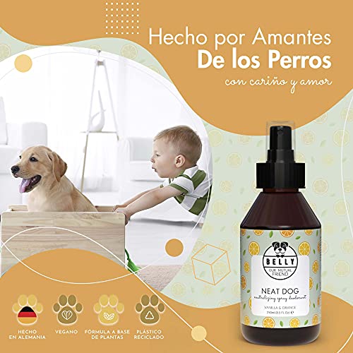 BELLY Colonia para Perros, Vainilla y Naranja - Spray Colonia Perros Cachorros y Adultos - Perfume Perro Fresco e Hidratante - Spray Desodorante Perro, Efecto Duradero - Colonia Mascotas Vegana, 250ml