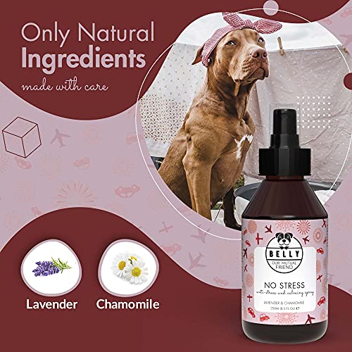 BELLY Spray Tranquilizante para Perros - Spray Relajante Perros, Ideal para Viajes - Spray Tranquilizante Perro, Ayuda a Reducir Estrés - Alternativa Natural a Pastillas y Feromonas para Perros, 250ml