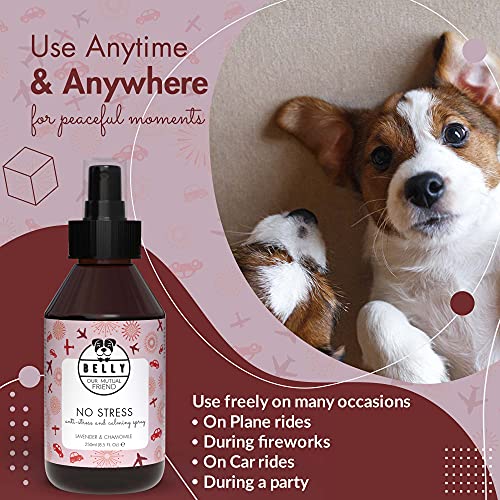 BELLY Spray Tranquilizante para Perros - Spray Relajante Perros, Ideal para Viajes - Spray Tranquilizante Perro, Ayuda a Reducir Estrés - Alternativa Natural a Pastillas y Feromonas para Perros, 250ml