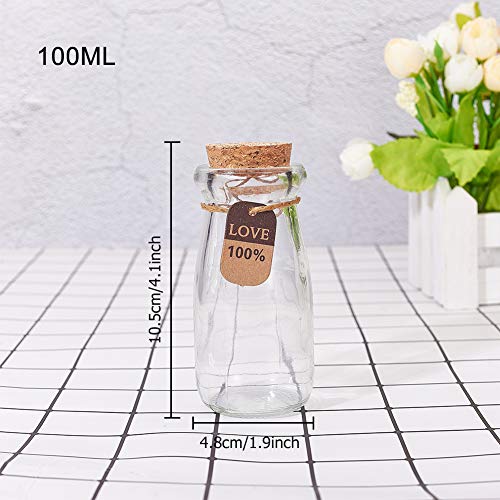 BENECREAT 10 Pack 100ml Botella de Vidrio con Corcho Equipada de Cuerda de Cáñamo y Etiqueta de Cartón Botella Portátil y Práctica de Cristal para Almacenamiento de Dulce Cuentas Chocolate