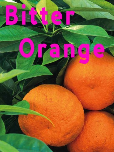 Bitter Orange (English Edition)