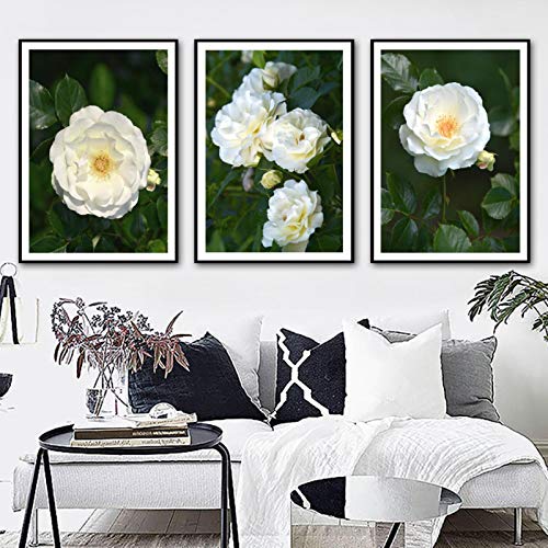 Blanriguelo Impresión en Lienzo Flor de Camelia Blanca Imágenes de Hojas Verdes Arte de la Pared Obras de Arte Carteles Sala de Estar Cocina Decoración para el hogar 27.5"x35.4 (70x90cm) Sin Marco