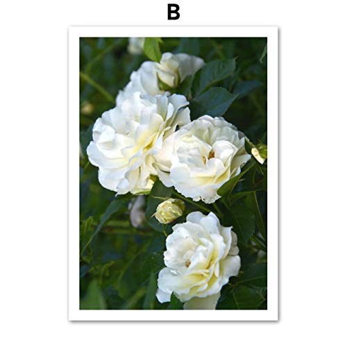 Blanriguelo Impresión en Lienzo Flor de Camelia Blanca Imágenes de Hojas Verdes Arte de la Pared Obras de Arte Carteles Sala de Estar Cocina Decoración para el hogar 27.5"x35.4 (70x90cm) Sin Marco