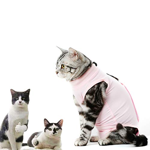 CandyCare Mascotas Traje de recuperación quirúrgica para Gatos, Destete Ropa Chaleco pequeño Mediano Grande Gatos, Anti lamida con Sonaja y DIY Anti-Lost Número Celular Rosa S