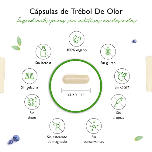 Cápsulas de Melilotus - 240 Cápsulas - Altamente Dosificadas con 1000mg de Polvo de Melilotus por porción diaria - Melilotus Officinalis Amarillo Verdadero - Vegano - Altamente Dosificado